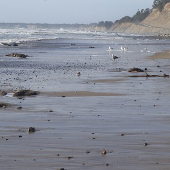 Waddell Beach - Beaches Near Me - Davenport, California Waddell Beach - Beaches Near Me - Davenport, California