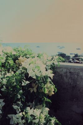 The Color House New York by null