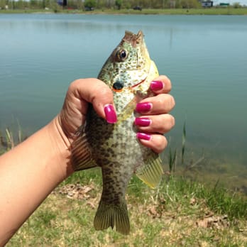Kopp's Lakes - Fishing Near Me - Clarksville, Indiana Kopp's Lakes - Fishing Near Me - Clarksville, Indiana