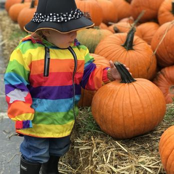 The Pumpkin Patch - Fruits & Veggies Near Me - Portland, Oregon