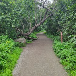 Bodenburg Butte - A view of the trail from the lower section