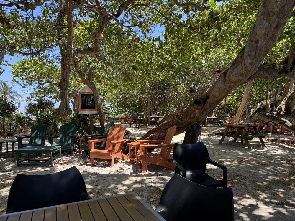 Hugh Taylor Birch State Park Image