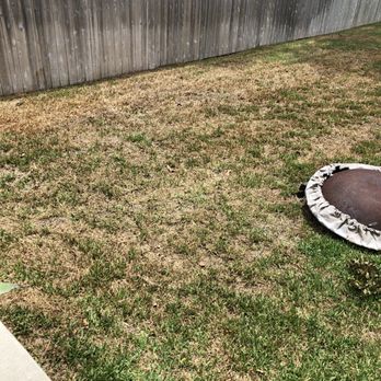 TruGreen Lawn Care - a trampol in a backyard - Tree Services Near Me - Houston, Texas TruGreen Lawn Care - a trampol in a backyard - Tree Services Near Me - Houston, Texas