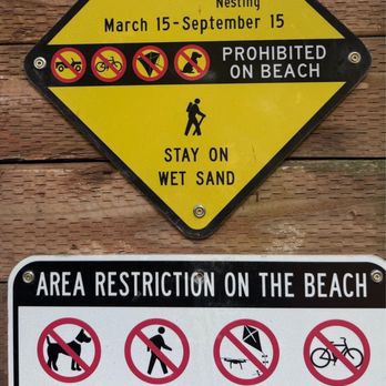 Oregon Dunes Overlook and Day Use Area - No dogs during the summer - Hiking Near Me - Gardiner, Oregon