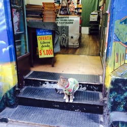 Mar de Libros - El gatito es cariñoso