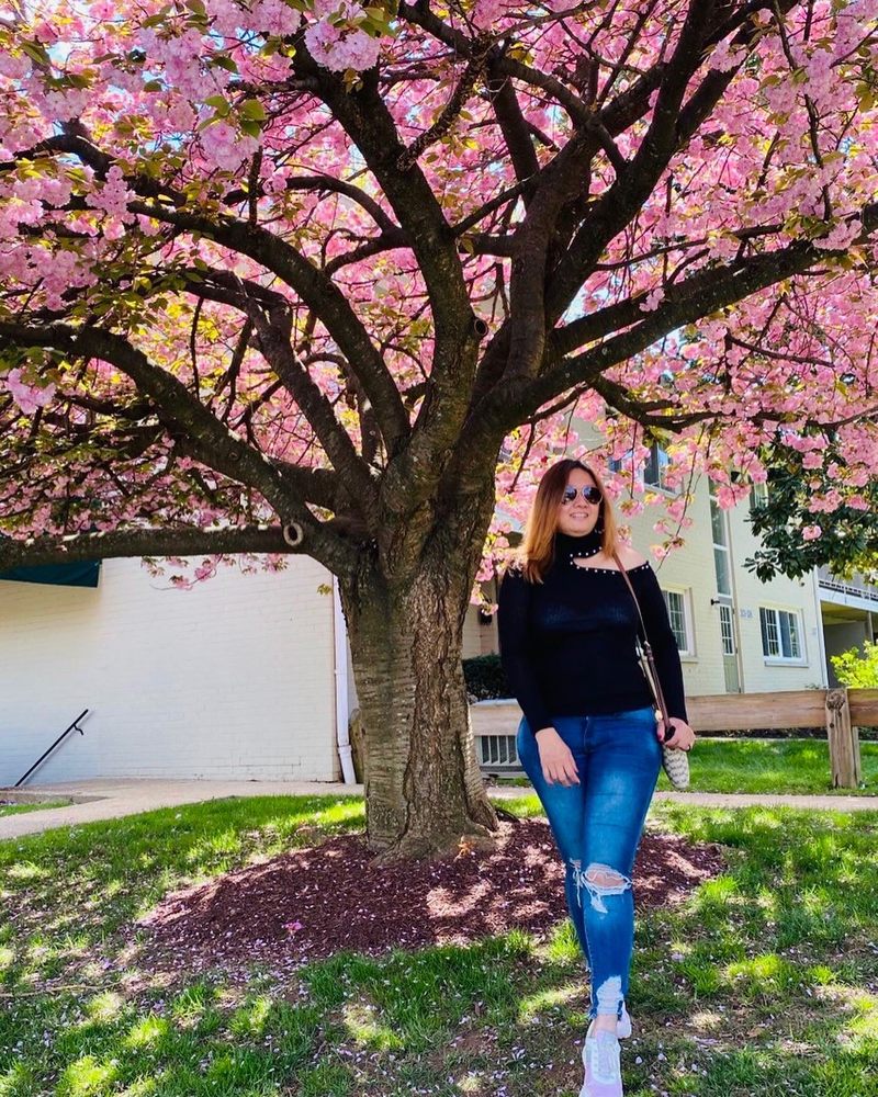 WOODMONT PARK APARTMENTS Updated October 2024 10 Reviews 1001