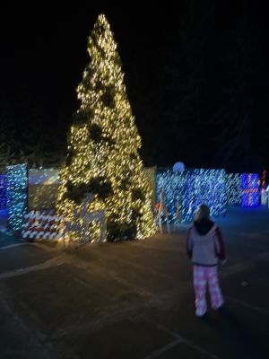 The Lights of Christmas by null