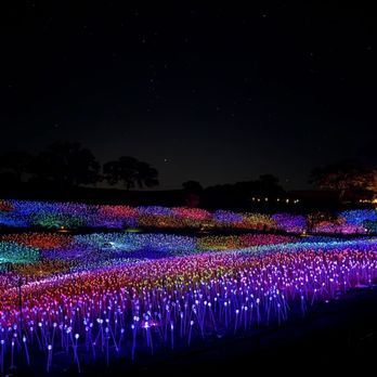 Sensorio - Field of lights - Art Galleries Near Me - Paso Robles, California