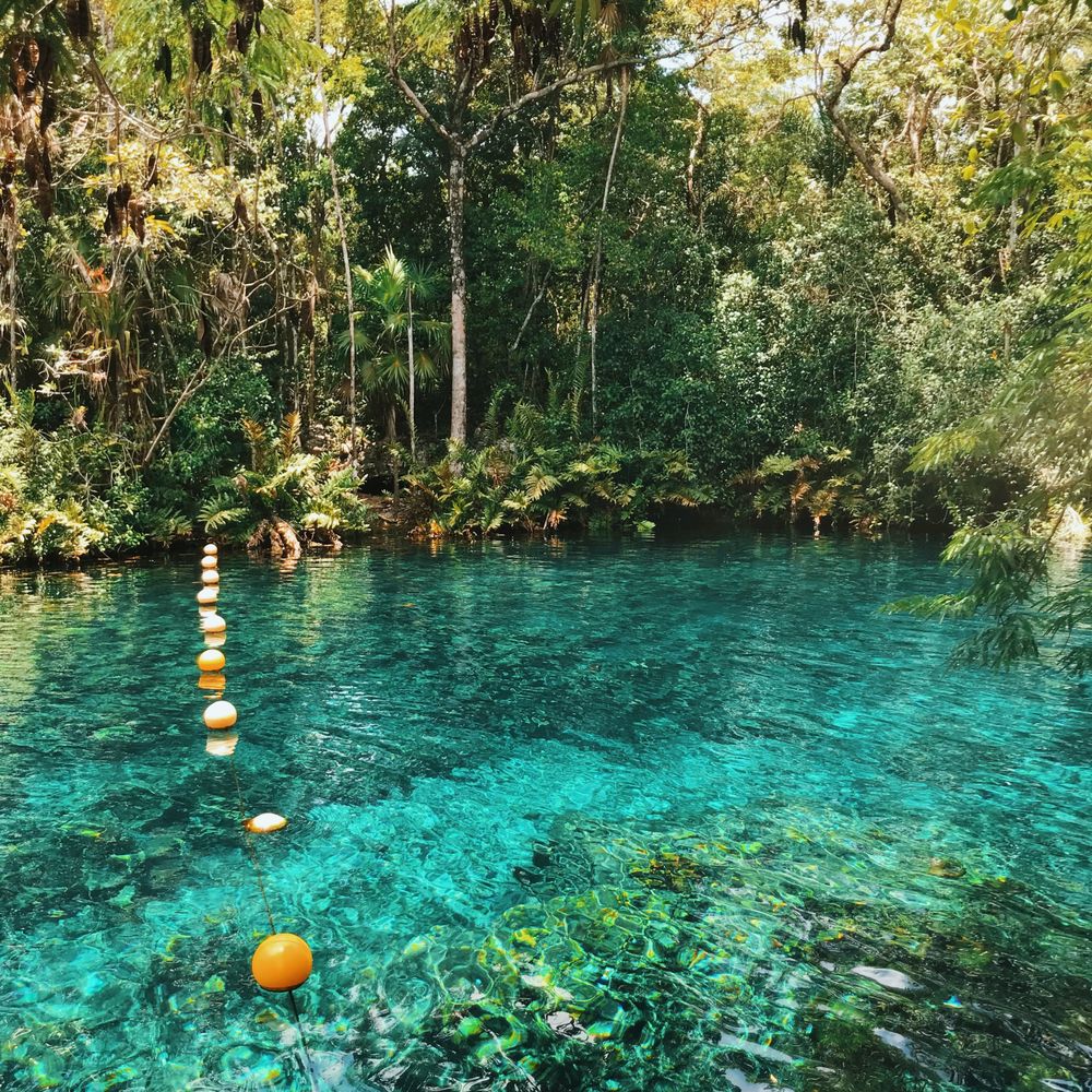 Photo by: @bri.youmetravel on IG. youmelunch.com