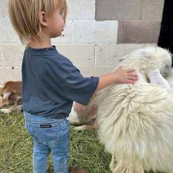 Horses4Heroes' The Ranch - Lots of different types of animals for kids to interact with