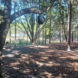 Walton County Dog Park - Dog park in a rope for the dogs to hang on