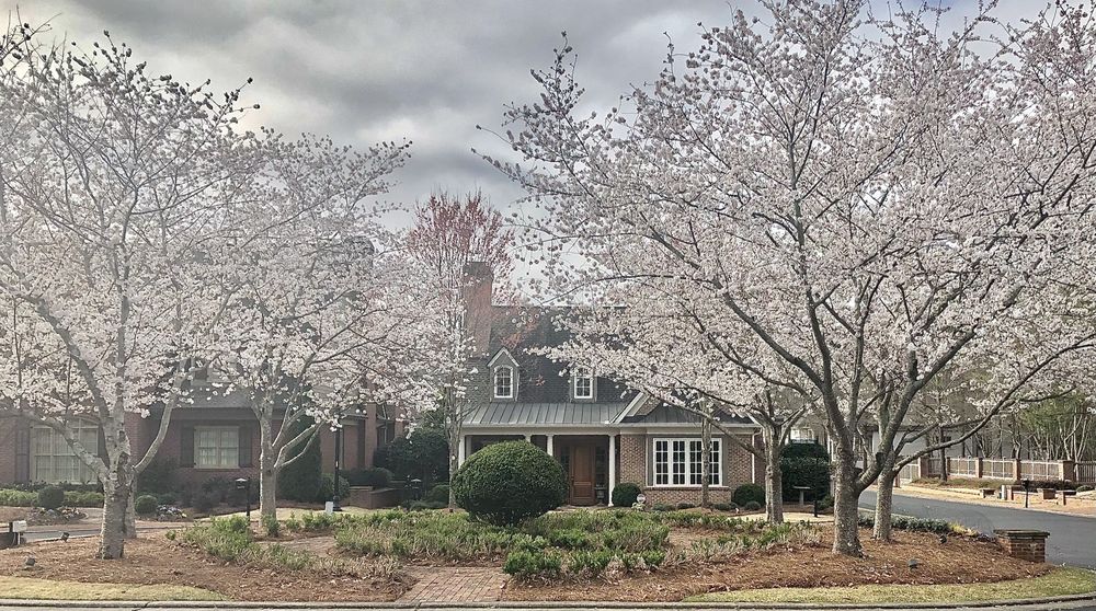 ENCLAVE AT GLEN ABBEY Updated May 2024 3605 Kimball Bridge Rd