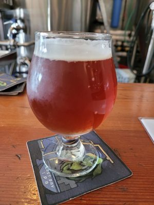 Elevation 66 Brewing Company by null