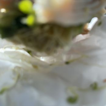 Posh Bagel Folsom - Bagels Near Me - Folsom, California Posh Bagel Folsom - Bagels Near Me - Folsom, California