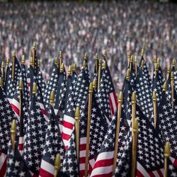 Just Handyman Services