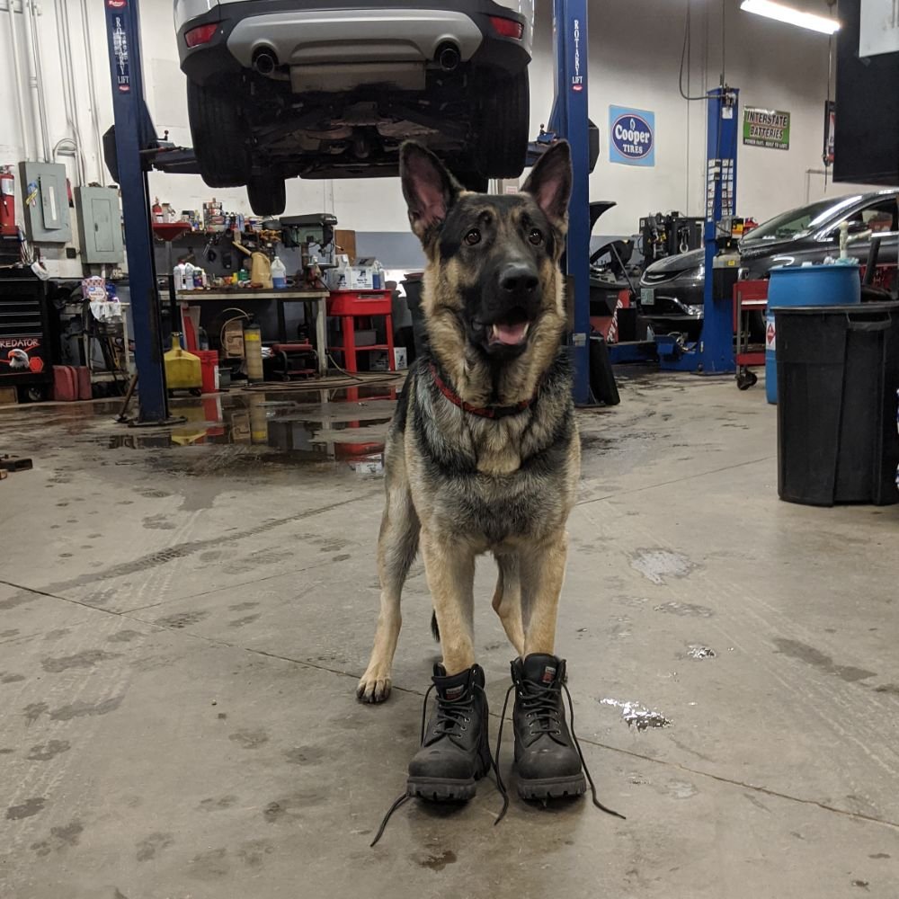 MERRIMACK AUTO CENTER 23 Photos & 10 Reviews 150 Amherst St, Nashua