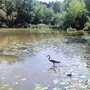 Photo of Hall's Pond Sanctuary