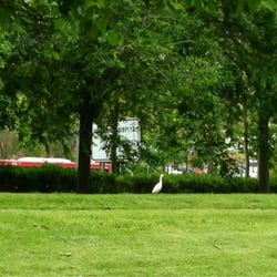 Jardines Del Bulevar Sur - Garceta en la ciudad.