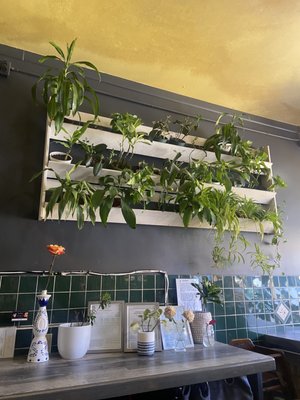 Lucy's Burger Bar by null
