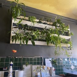 Lucy's Burger Bar