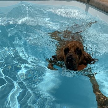 ruff house dog boarding