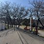 Photo of Arbor Pro Tree Service
