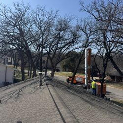 Arbor Pro Tree Service - Arbor Pro Team in Action