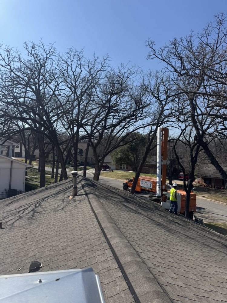Arbor Pro Tree Service - tree service in Fort Worth, TX