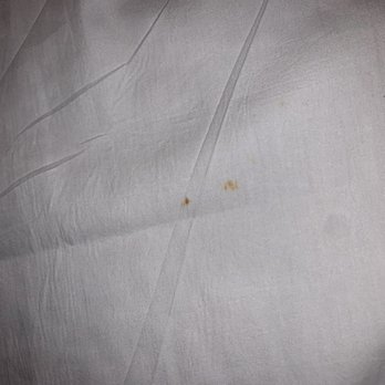 Hampton Falls Inn - Blood? Stains on the fitted bed sheet - Hotels Near Me - Hampton Falls, New Hampshire Hampton Falls Inn - Blood? Stains on the fitted bed sheet - Hotels Near Me - Hampton Falls, New Hampshire