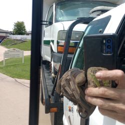 Roadside Heroes - Heroes helping heroes!