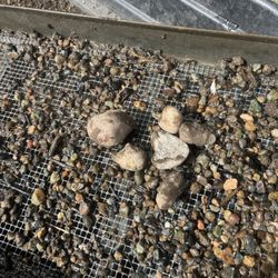 Puyallup Bark Supply