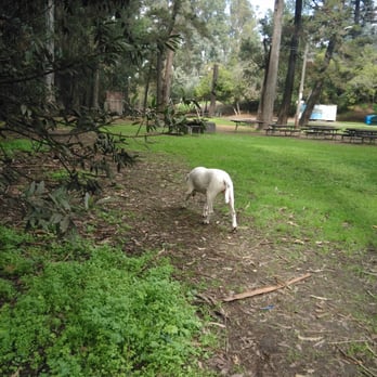 Chabot Park - Parks Near Me - San Leandro, California