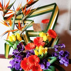Lapeoni Flowers and Events - Unique arrangment