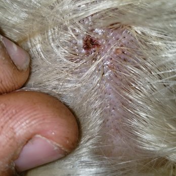 ZENsations Salon & Spa - 30 minutes after...blisters - Hair Salons Near Me - Chipley, Florida ZENsations Salon & Spa - 30 minutes after...blisters - Hair Salons Near Me - Chipley, Florida