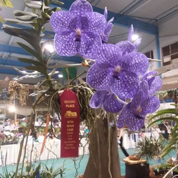 Maui Fair - 10/5/19 - Festivals Near Me - Wailuku, Hawaii Maui Fair - 10/5/19 - Festivals Near Me - Wailuku, Hawaii