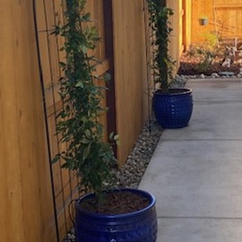 Cardenas Landscape Solutions - Gardeners Near Me Cardenas Landscape Solutions - Gardeners Near Me