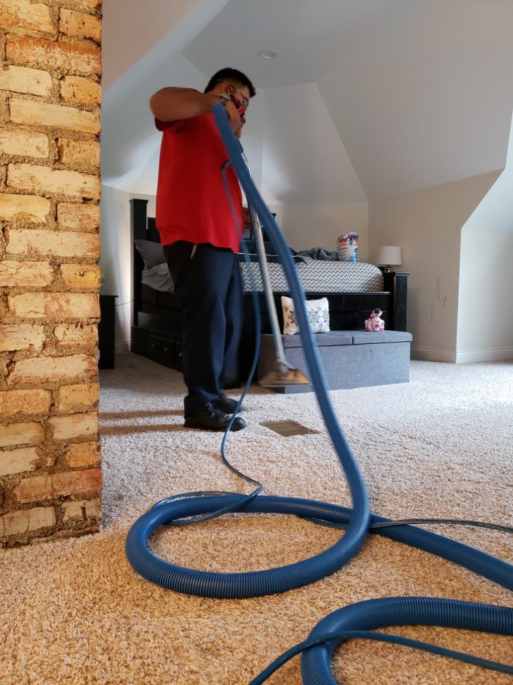 HOME SWEET HOME CARPET CLEANING Updated May 2024 18 Photos Wheeling, Illinois Carpet