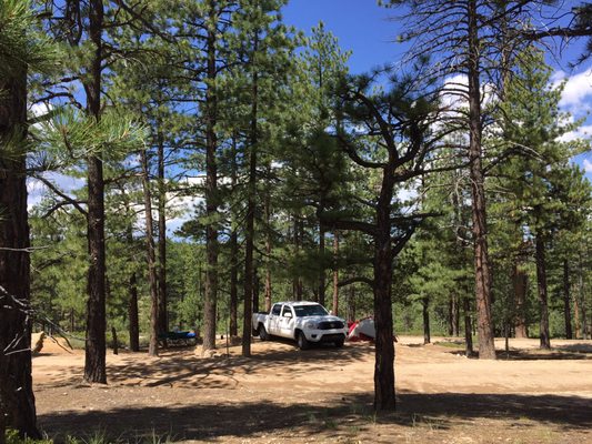 North Campground by null