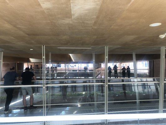 Domus del Chirurgo by null