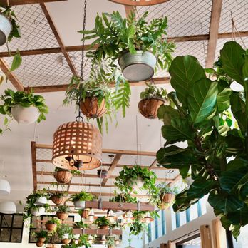 Valley Goat - interior - New American Near Me - Sunnyvale, California