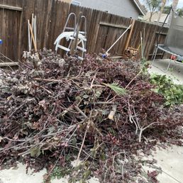 Tree waste