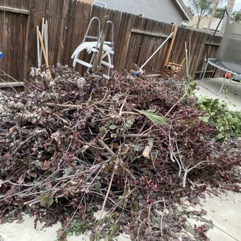 Fast Hauling Services - Tree waste - Junk Removal & Hauling Near Me