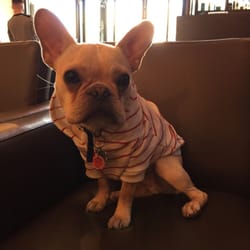 Hibou-friendly salon