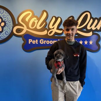 Sol Y Luna - Summer cuts - Pet Groomers Near Me - Buford, Georgia Sol Y Luna - Summer cuts - Pet Groomers Near Me - Buford, Georgia