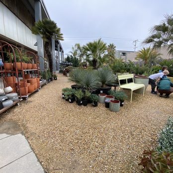 FLORA GRUBB GARDENS - Updated February 2026 - 976 Photos & 521 Reviews