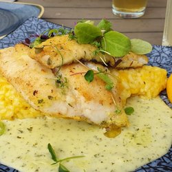 Die Insel - Seehechtfilet mit Mangorisotto u Grana Padano Rucola Sauce