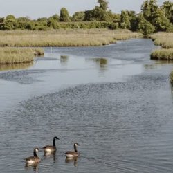Graniteville Wetlands