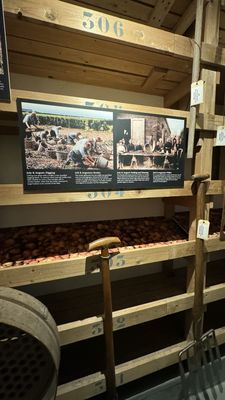 Amsterdam Tulip Museum by null