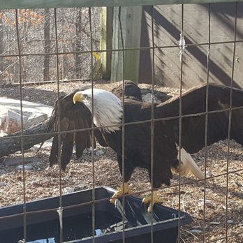 World Bird Sanctuary - Parks Near Me - Valley Park, Missouri