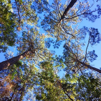 San Luis Mission Park - Hiking Near Me - Tallahassee, Florida